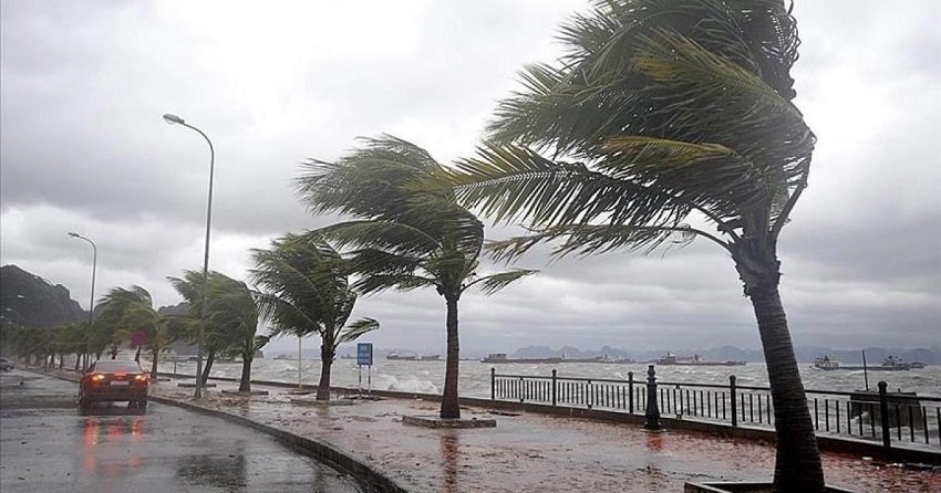 aa-1 الجزائر : تعليق الدراسة وإعلان حالة استنفار بسبب رياح قوية