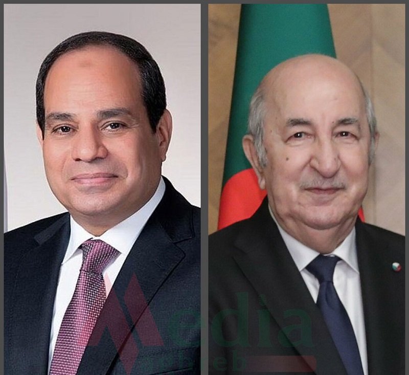 العلاقات الجزائرية المصرية