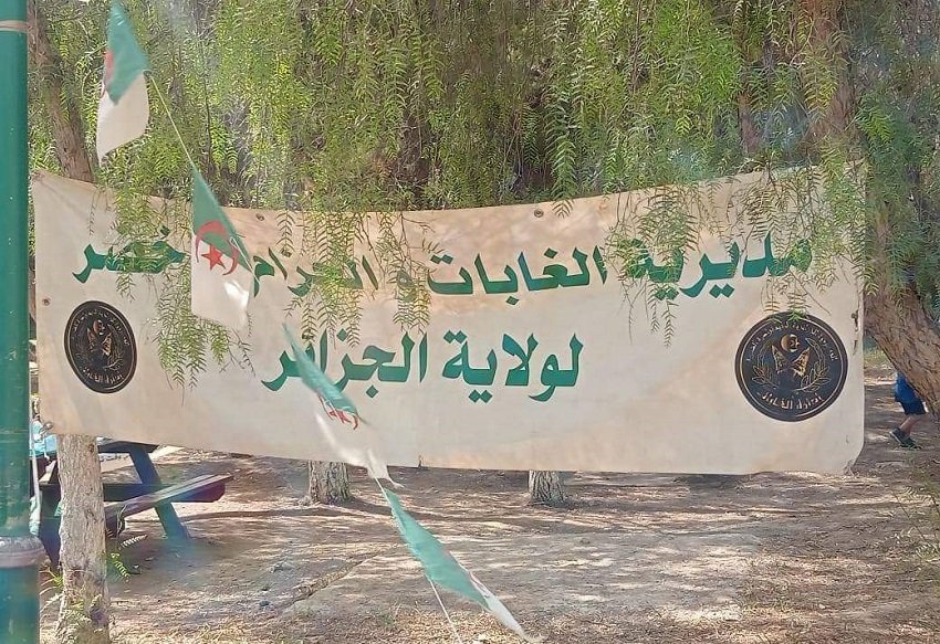 eeee-1 مديرية الغابات والحزام الأخضر في ولاية الجزائر تطلق خطة إستعادية لإعادة التشجير وحماية الغابات