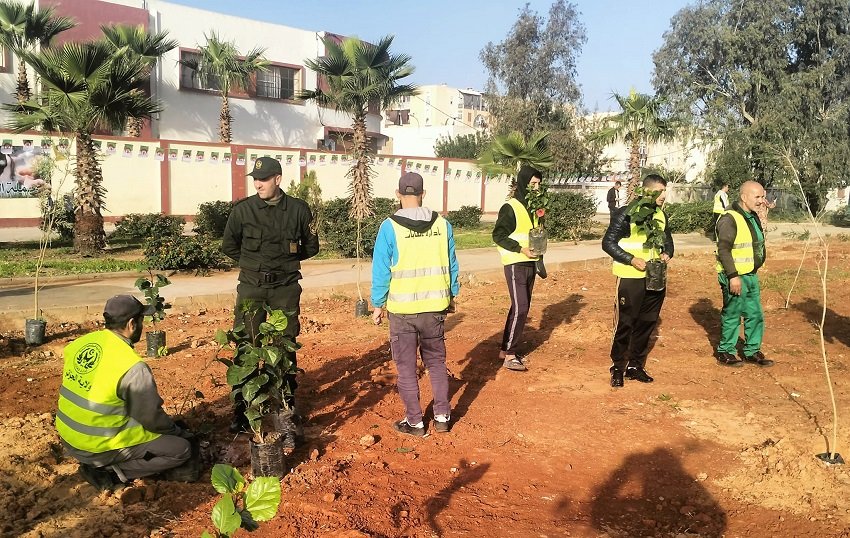 مديرية الغابات والحزام الأخضر