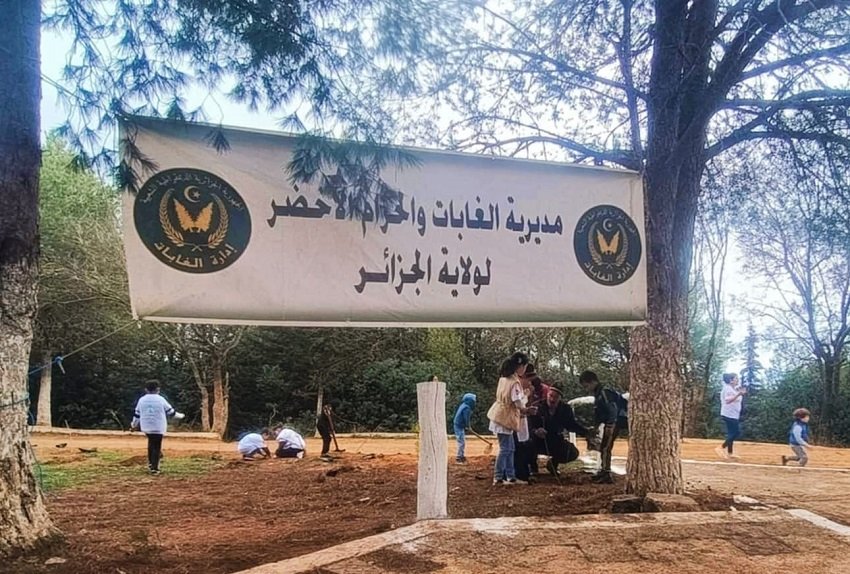 eeeeee مديرية الغابات والحزام الأخضر في ولاية الجزائر تطلق خطة إستعادية لإعادة التشجير وحماية الغابات