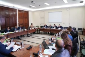 المحكمة الدستورية تونس