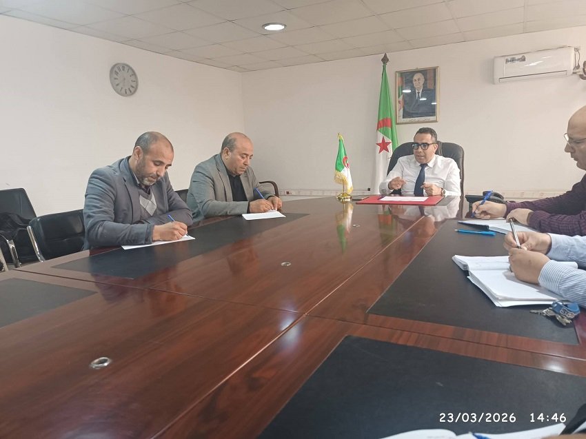 التنمية المحلية