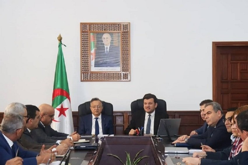 إنتاج الشتلات والبذور الهجينة