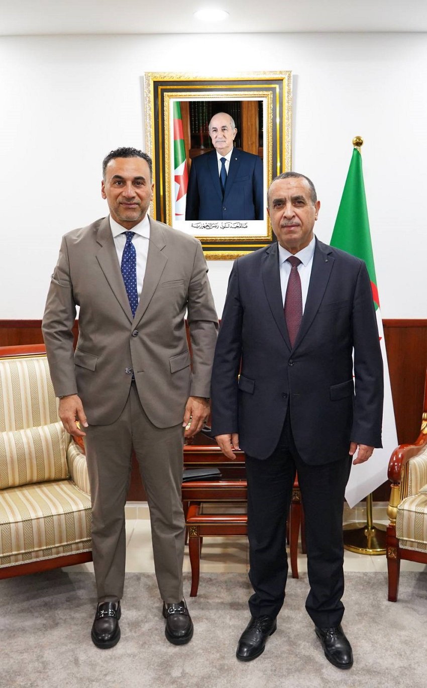 4-4 توسيع الشراكة الطاقوية بين سونلغاز والسويدي إلكتريك نحو الأسواق الإفريقية