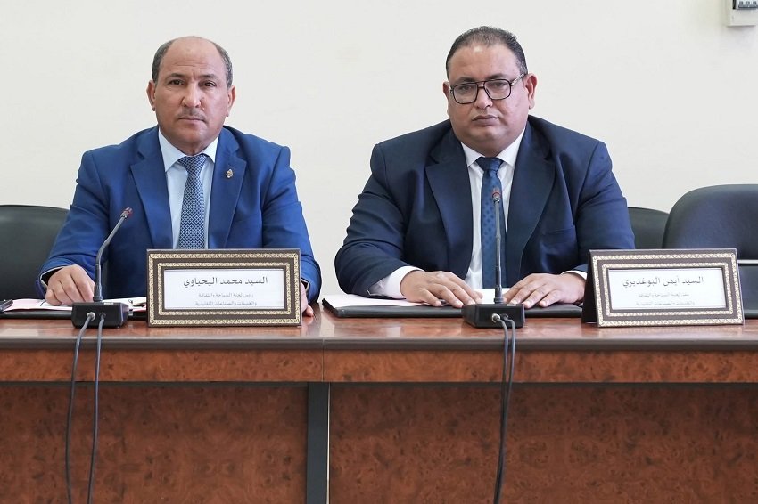 تنظيم القطاع السياحي