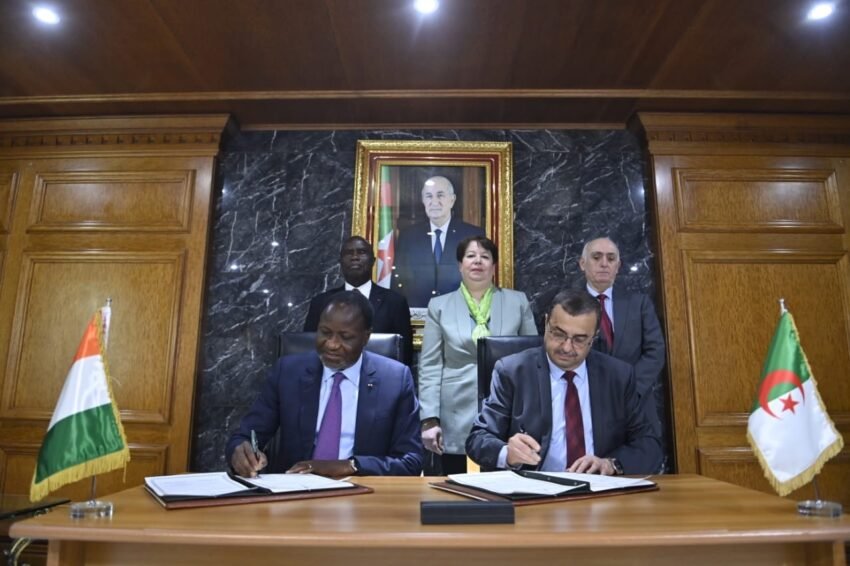 الجزائر وكوت ديفوار