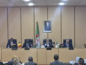 التعاون الجزائري التشادي