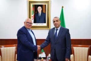 العوازل الكهربائية