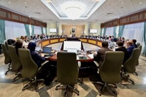 الفعالية الطاقوية