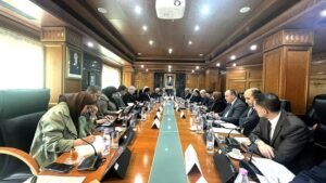 تموين السوق الوطنية