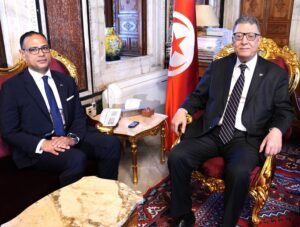 العلاقات التونسية المصرية