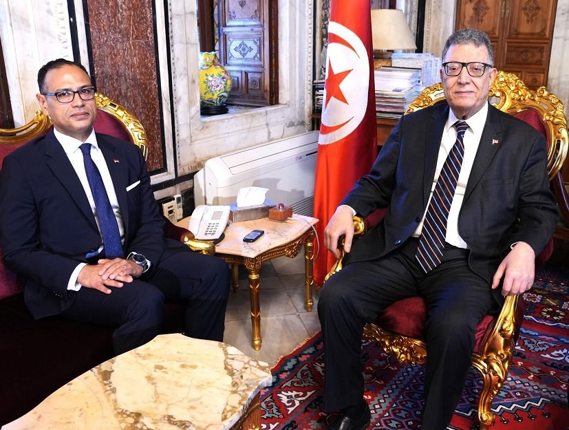 العلاقات التونسية المصرية