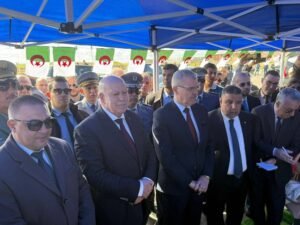 الصناعة الجزائرية