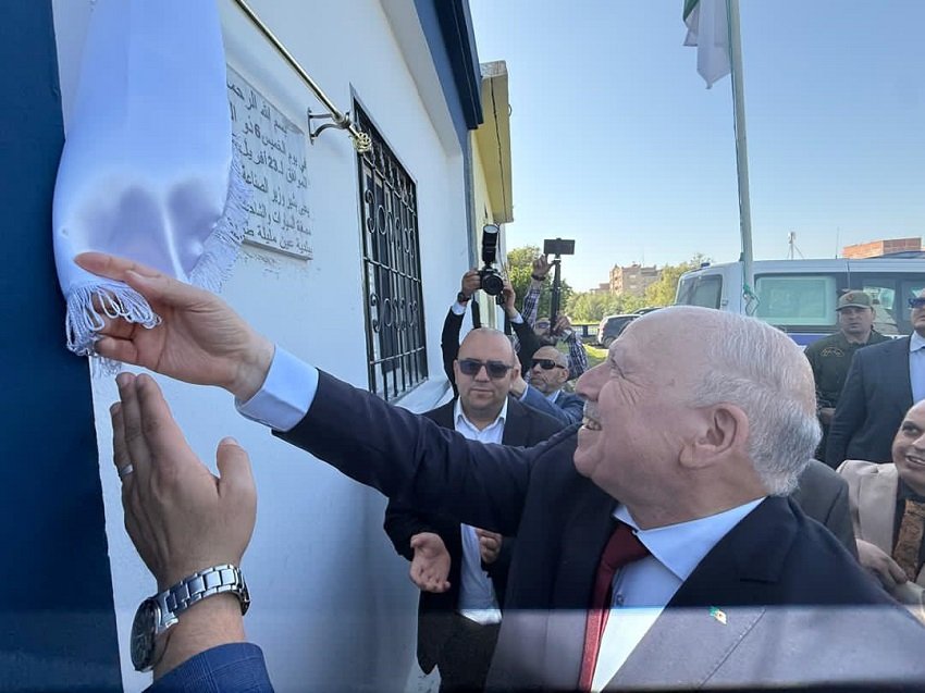 الإدماج المحلي