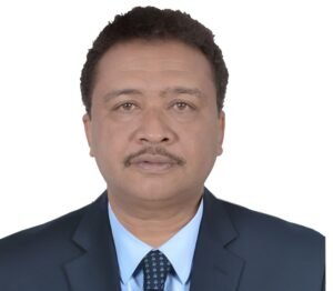 هاشم محمود حسن