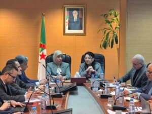 رقمنة السوق