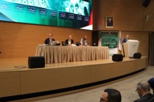 المجلس الاقتصادي الجزائري