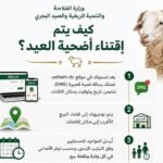 اقتناء أضحية