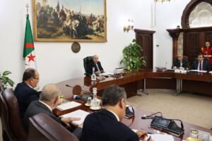 مجلس الوزراء الجزائر
