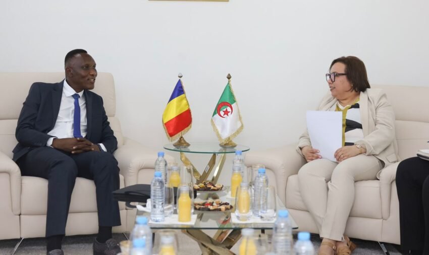 التكوين المهني الجزائر تشاد