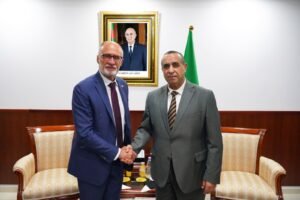 الطاقة الجزائرية