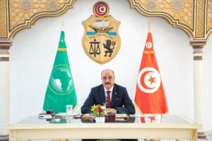 إصلاح الاتحاد الإفريقي