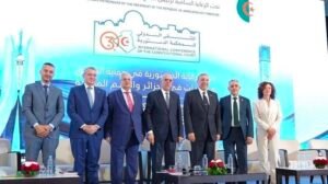القضاء الدستوري