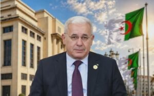 العمل الإفريقي