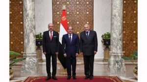 التعاون المصري التونسي