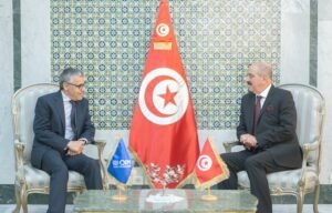 العودة الطوعية للمهاجرين