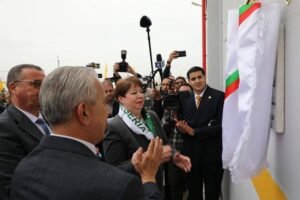 الصناعة المنجمية الجزائر