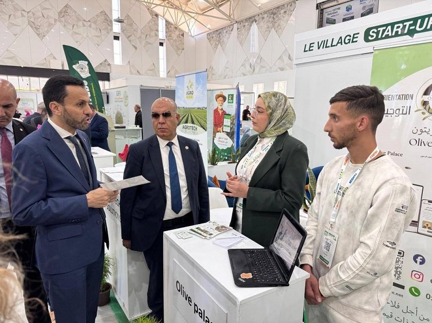 ابتكارات الفلاحة الجزائر