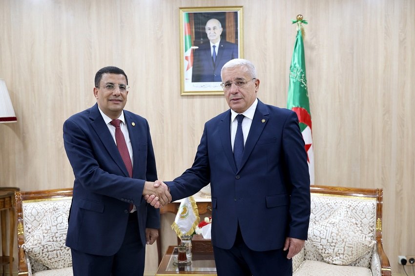 ii بوغالي يبحث مع رئيس البرلمان الإفريقي تعزيز التعاون التشريعي بالقارة