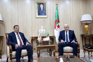 الدبلوماسية البرلمانية
