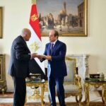 العلاقات الجزائرية المصرية