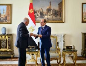 العلاقات الجزائرية المصرية