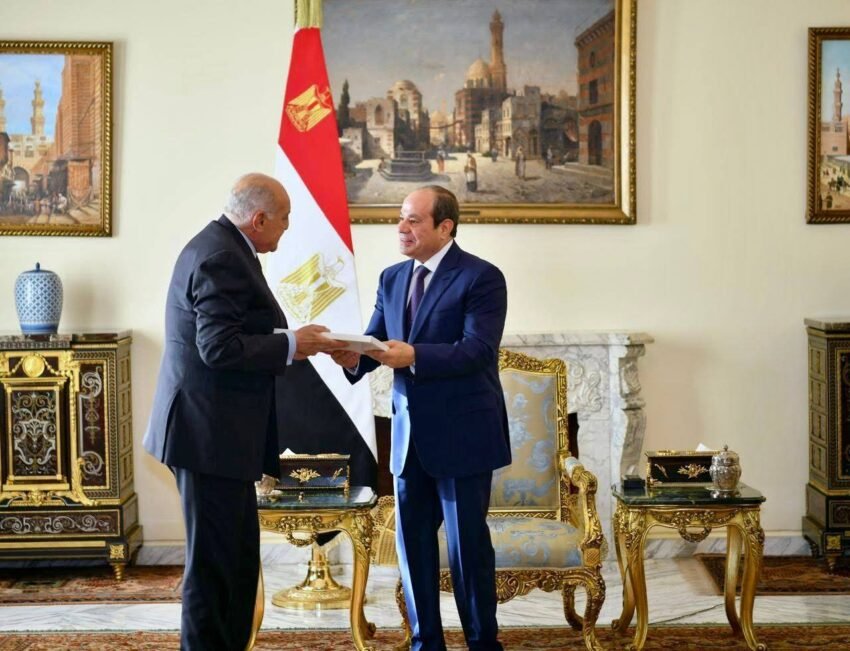 العلاقات الجزائرية المصرية