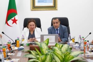 تطوير الكفاءات