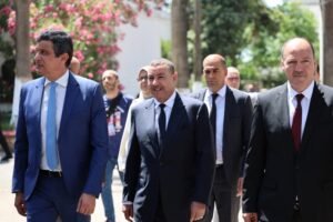الخدمة العمومية