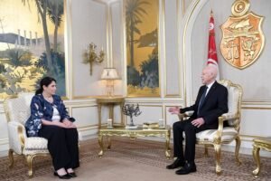 العمل الإفريقي المشترك