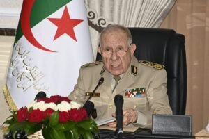 تعيين عسكري الجزائر