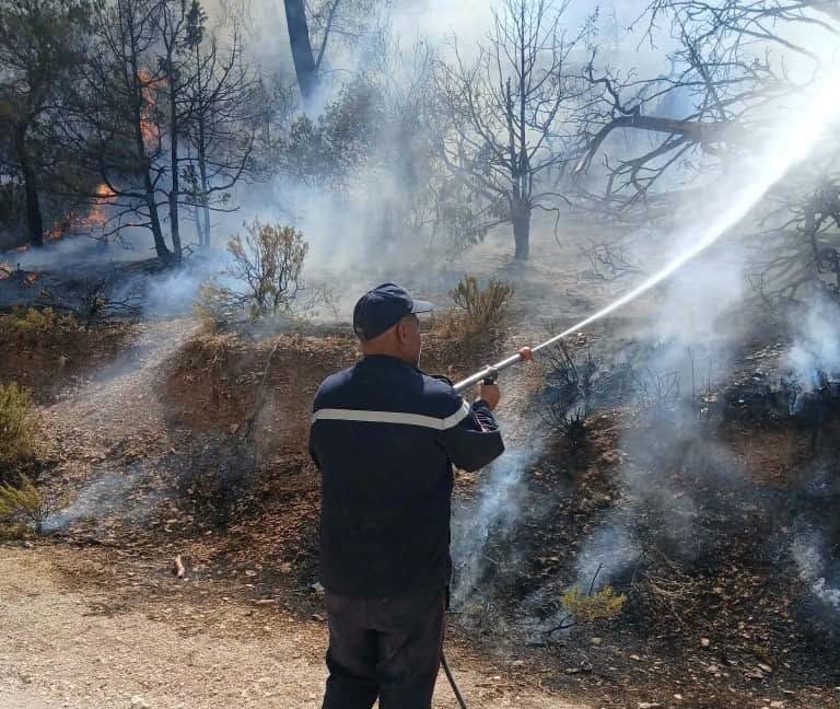 حرائق الجزائر