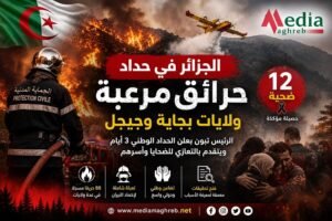 حرائق الجزائر