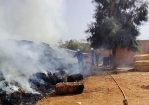حرائق الجزائر