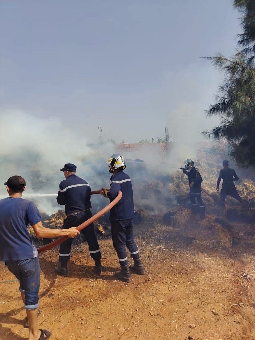 8-3 حرائق الجزائر تتراجع إلى 7 بؤر متواصلة.. تدخلات جوية في سطيف وسكيكدة