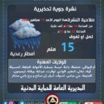 أمطار رعدية