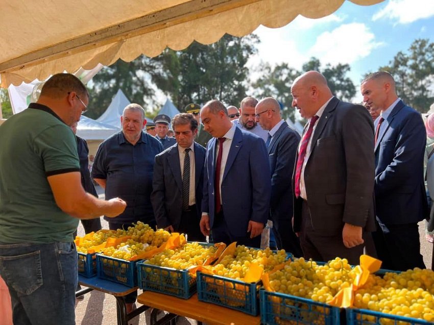عنب بومرداس