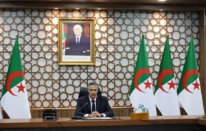 البناء في المناطق الغابية