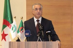 الانتخابات المحلية